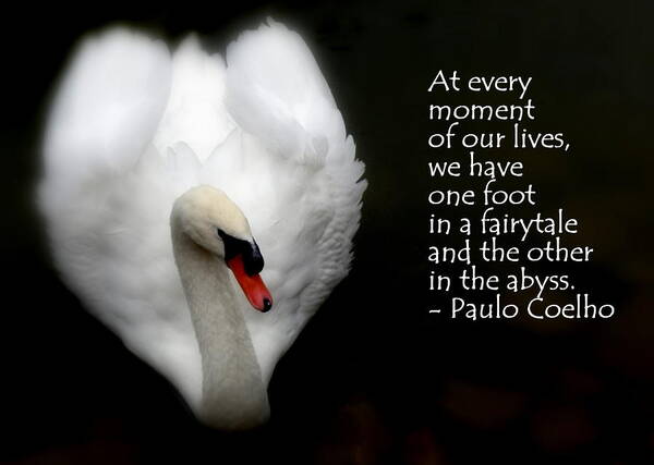 Swan Poster featuring the photograph Fairytale Swan by Lainie Wrightson