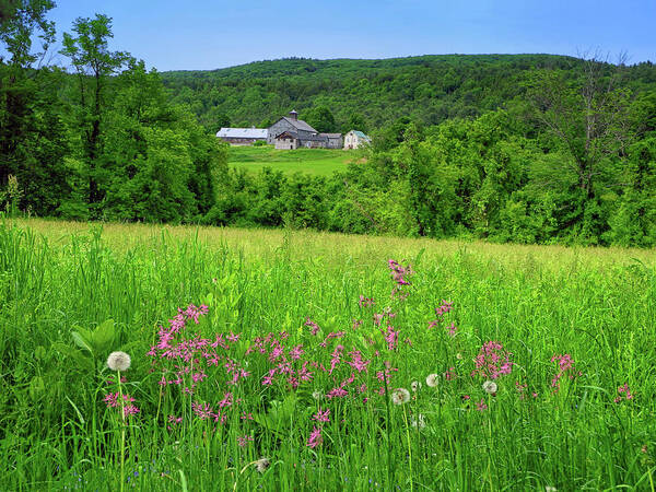 Farm Along The Ma At With Wildflowers Poster featuring the photograph Farm Along the MA AT with Wildflowers by Raymond Salani III