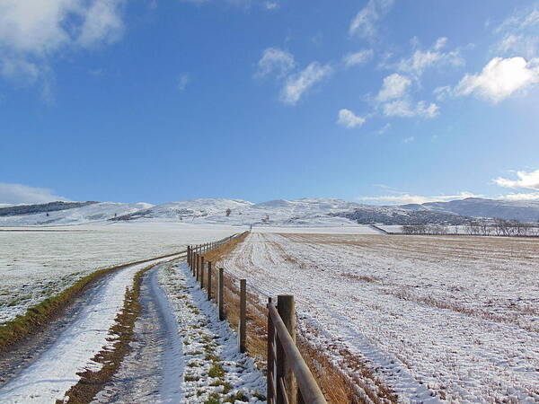 Sky Poster featuring the photograph Farm Track To Round Law and King's Seat by Alan K Holt