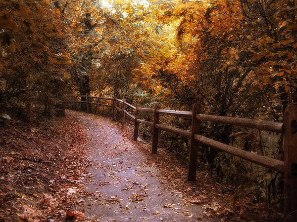 Seasonal Poster featuring the photograph Fenceline by Jessica Jenney