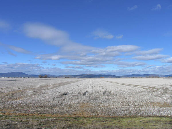 Field Of Dreams Near Goose Lake California Poster featuring the photograph Field of Dreams by Mark Norman