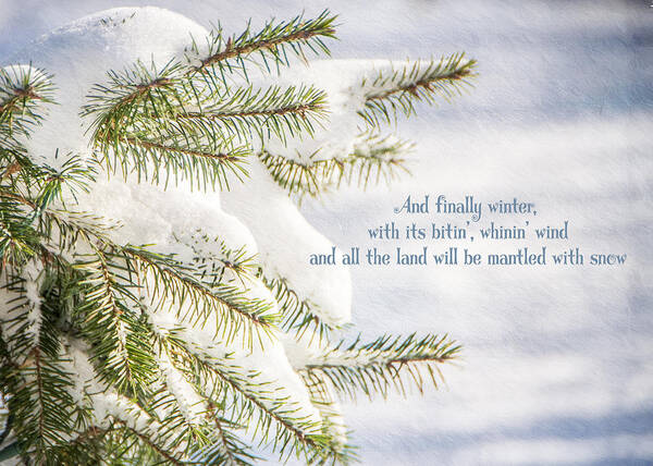 Snow Poster featuring the photograph Finally Winter by Cathy Kovarik