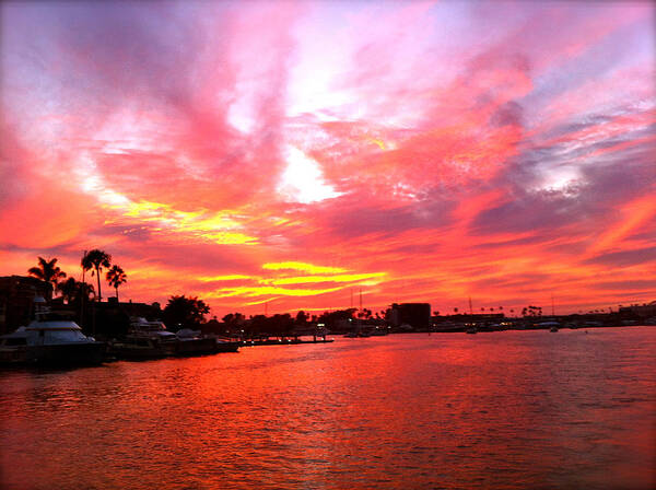 Sunset Poster featuring the photograph Fire Sky by JBDSGND OsoPorto