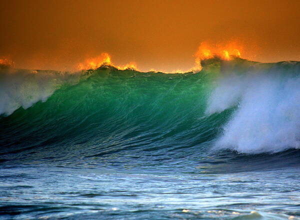 Wave Poster featuring the photograph Fire Wave by Lori Seaman