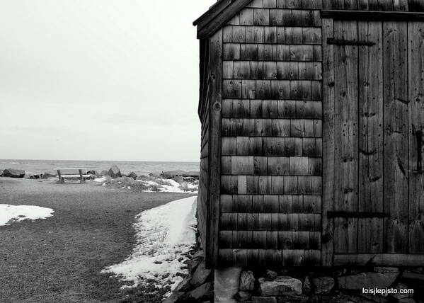 Ocean Poster featuring the photograph Fish House at the Sea by Lois Lepisto