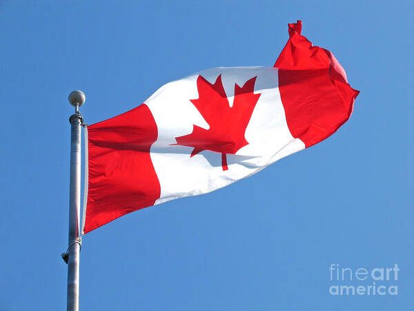 Flag Poster featuring the photograph Flag of Canada by Ann Horn
