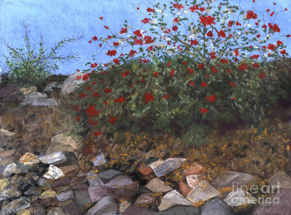 Rocks Poster featuring the painting Flowered Embankment by Ginny Neece