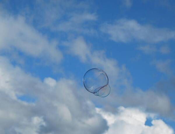 Bubbles Poster featuring the photograph Flying Free by Marilynne Bull