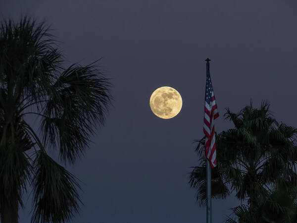 Full Moon Poster featuring the photograph Full moon, flag and palms by Zina Stromberg