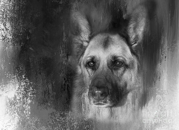 German Shepherd Poster featuring the photograph German Shepherd in Black and White by Eleanor Abramson