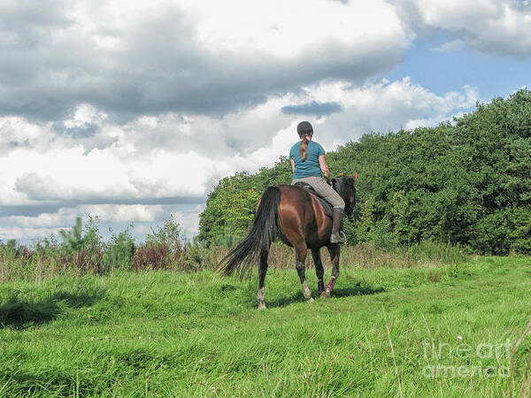 Animal Poster featuring the photograph Girl riding horse by Patricia Hofmeester