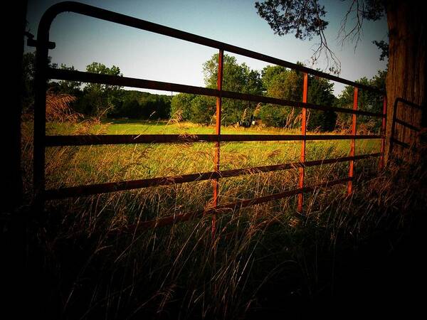 Fence Poster featuring the photograph Golden Country Fence by Joyce Kimble Smith