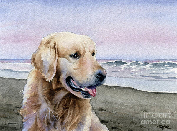 Golden Poster featuring the painting Golden Retriever at the Beach by David Rogers