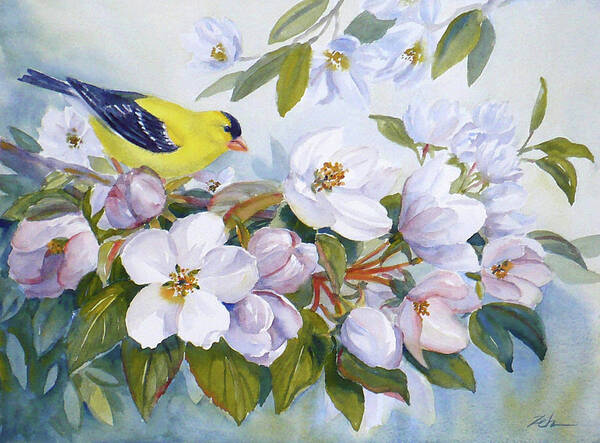 Bird Poster featuring the painting Goldfinch and Crabapple Blossoms by Janet Zeh