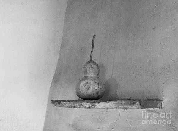 Photography Poster featuring the photograph Gourd Black and White by Jeanette French