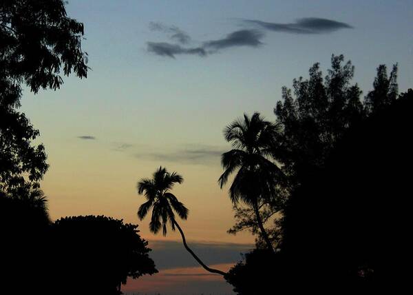 Photo For Sale Poster featuring the photograph Grand Boca Grande View by Robert Wilder Jr