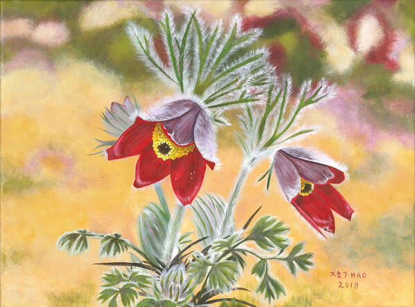 Pulsatilla Koreana Poster featuring the painting Granny flowers by Helian Cornwell