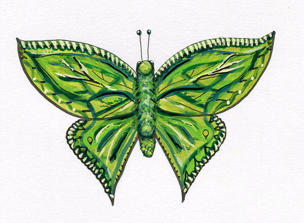 Green Poster featuring the painting Green Butterfly Illustration by Catherine Gruetzke-Blais