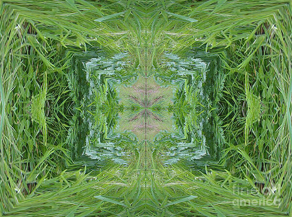 Digital Art Poster featuring the digital art Green Fractal by Charles Robinson