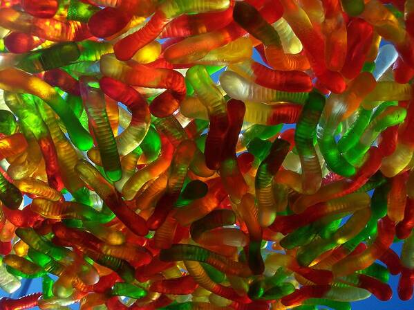 Candy Rainbow Treat Colorful Gummy Worms Poster featuring the photograph Gummyworms by Anna Villarreal Garbis