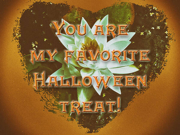 Halloween Poster featuring the photograph Halloween You Are My Favorite Treat Greeting   Water Lily by Carol Senske