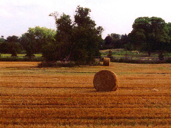 Landscape Poster featuring the photograph Hay Rolls 2 DB 2 by Lyle Crump