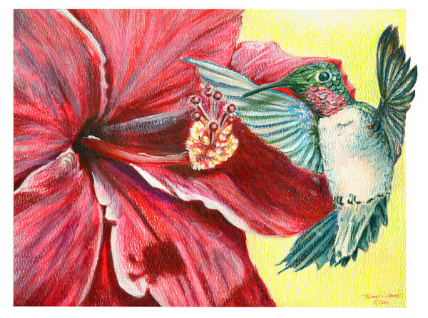Hummingbird Poster featuring the painting Hibiscus and Hummingbird by Thomas Hamm