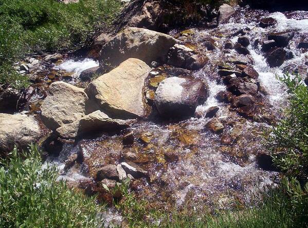 Landscape Water Stream Rocks High Sierras Backpacking Hiking Bushes Nature Poster featuring the photograph High Sierras Treasure Lakes V by Sarah Stiles