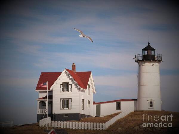 Lighthouse Poster featuring the photograph Highlighting the Nubble Light by Loretta Pokorny