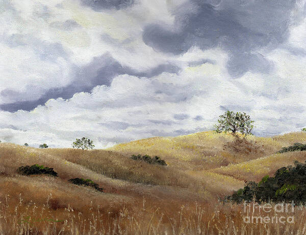 California Poster featuring the painting Hills of Fremont Older by Laura Iverson