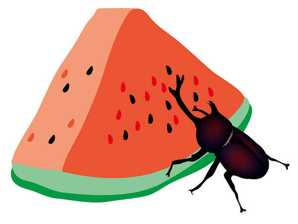  Poster featuring the digital art Horn beetle is eating a piece of red watermelon by Moto-hal
