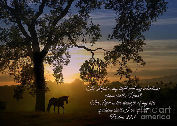 Horse Poster featuring the photograph Horse and Oak Tree Bible Verse Psalms 27 The Lord is My Light by Stephanie Laird