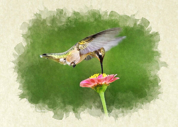 Invitation Poster featuring the mixed media Hummingbird Sun Sweet Blank Note Card by Christina Rollo