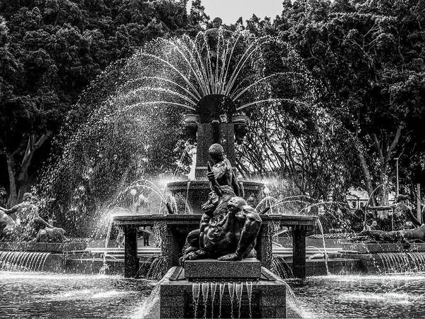 Sydney In Black And White Series By Lexa Harpell Poster featuring the photograph Hyde Park Fountain by Lexa Harpell