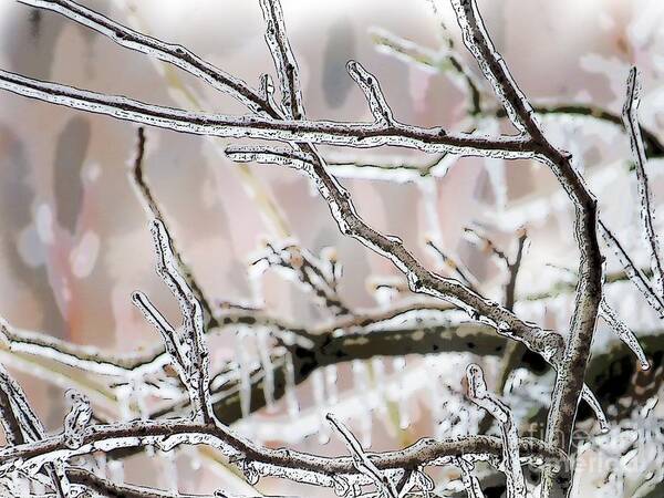 Ice Branches Branch Winter Lake Farm Photo Photograph Art Artist Artified Poster featuring the digital art Ice storm Ice by Craig Walters