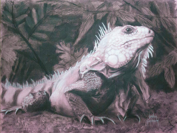 Iguana Poster featuring the drawing Iguana by Jordan Henderson