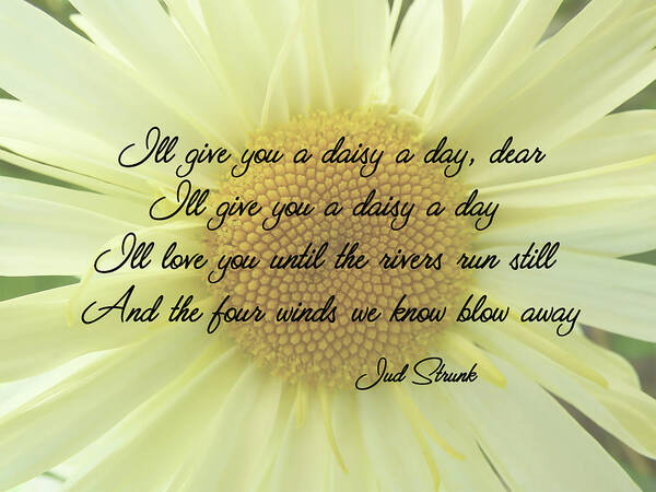 Yellow Daisy Poster featuring the photograph I'll Give You A Daisy A Day Dear by Leslie Montgomery