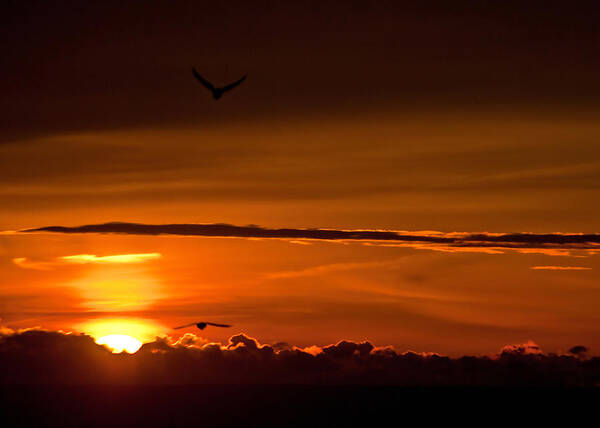 Sunrise Poster featuring the photograph Into The Light by Keith Armstrong