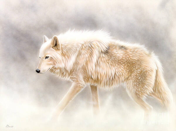 White Wolf Poster featuring the painting Into The Mist by Sandi Baker