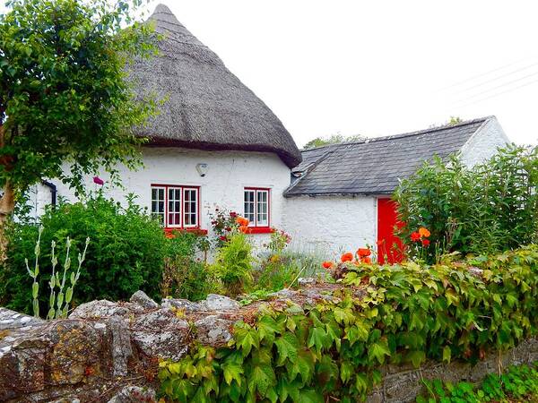 Irish Poster featuring the photograph Irish cottage by Sue Morris