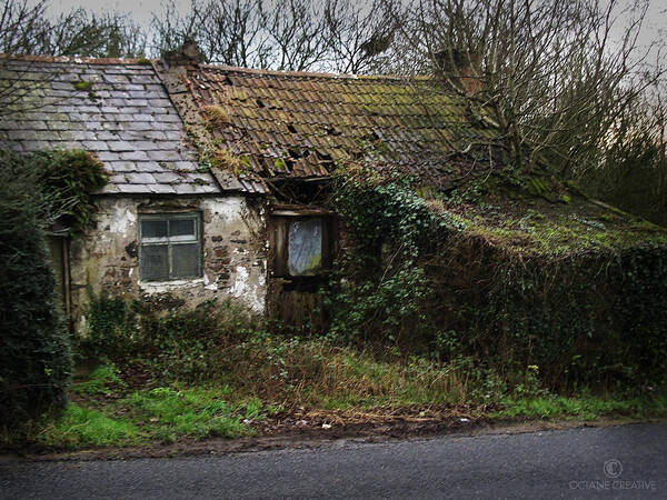 Hovel Poster featuring the photograph Irish Hovel by Tim Nyberg