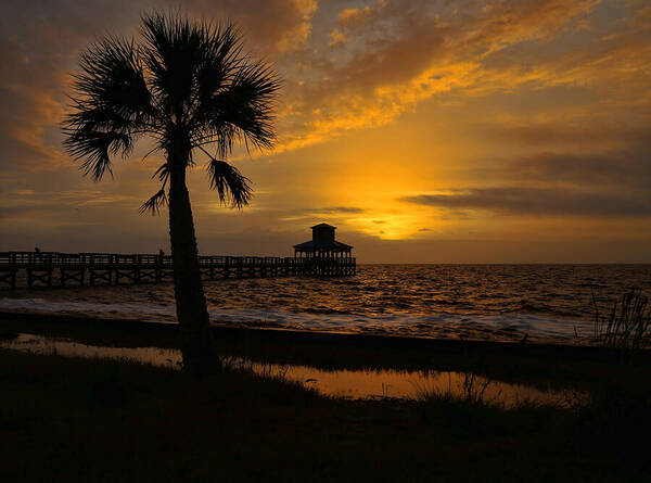 Pleasure Island Poster featuring the photograph Island Sunrise by Judy Vincent