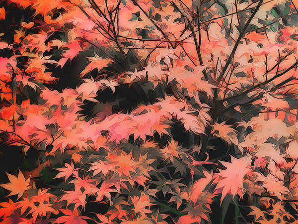 Maple.tree Poster featuring the digital art Japanese Maple - nature art by Ann Powell