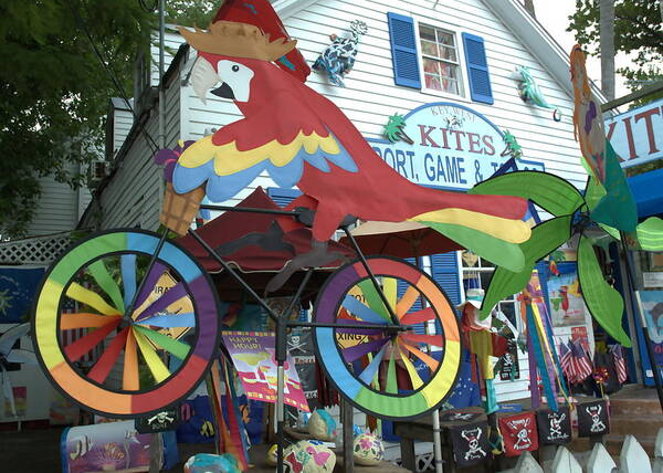 Parrot Poster featuring the photograph Key West Kites by Kathi Shotwell