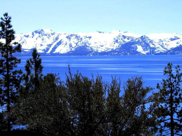 Lake Tahoe Poster featuring the photograph Lake Tahoe by Will Borden