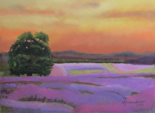 Lavender Poster featuring the painting Lavender Fields in a Golden Sunset by Donna Chambers