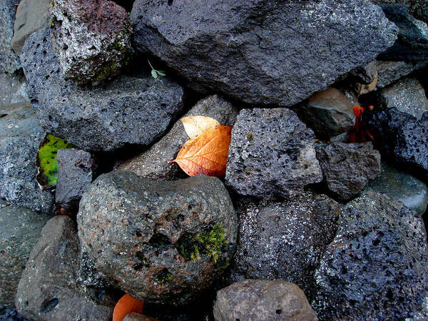 Nature Poster featuring the photograph Leaves and Stones by Marilynne Bull