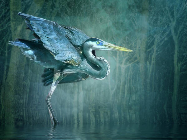 Great Blue Heron Poster featuring the photograph Leaving The Lake by Brian Tarr