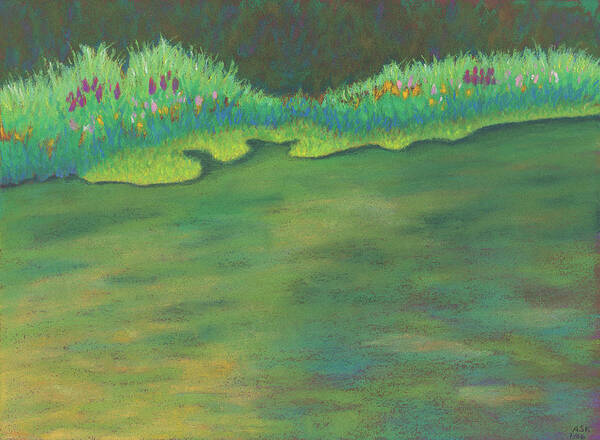 Art Poster featuring the pastel Lenox Audubon Pond 3 by Anne Katzeff