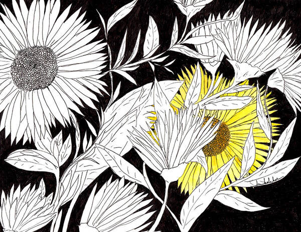 Flowers Poster featuring the drawing Let Your Light Shine by Lou Belcher